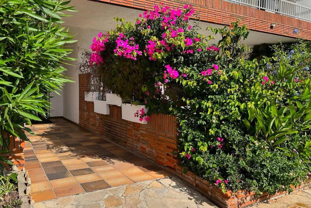 Apartamento Acogedor , Blanes Esterno foto